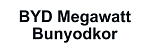 BYD Megawatt Bunyodkor